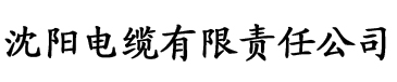 草莓视频在线观看ios电缆厂logo